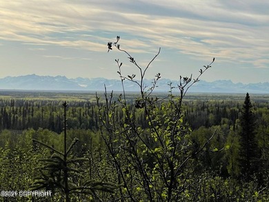 Beach Acreage For Sale in Kenai, Alaska