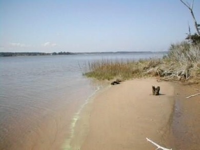Beach Acreage For Sale in Hacksneck, Virginia