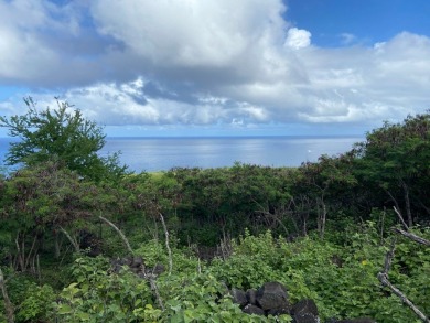 Beach Acreage Off Market in Kailua Kona, Hawaii