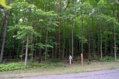 Beach Lot Off Market in Harbor Springs, Michigan