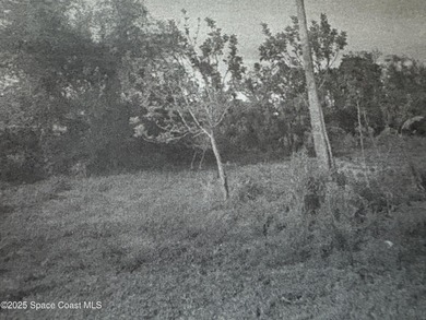 Beach Lot For Sale in Vero Beach, Florida