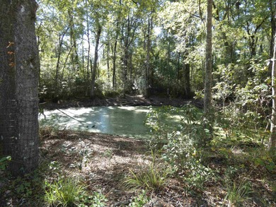 Beach Acreage For Sale in Crawfordville, Florida