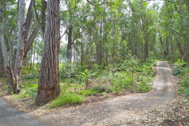 Beach Acreage For Sale in Honokaa, Hawaii