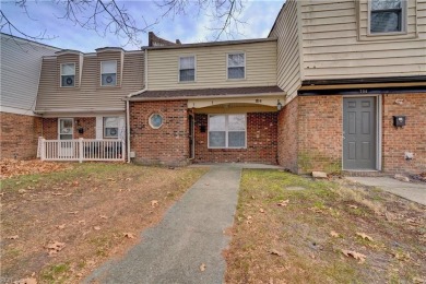 Beach Townhome/Townhouse For Sale in Virginia Beach, Virginia