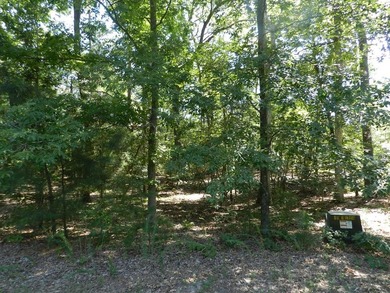 Beach Lot For Sale in Machipongo, Virginia