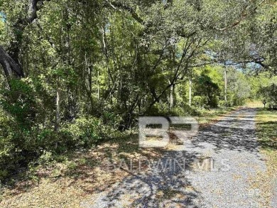 Beach Lot For Sale in Lillian, Alabama