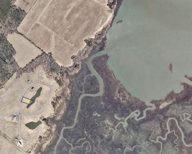 Beach Lot For Sale in Parksley, Virginia