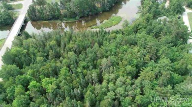 Beach Lot For Sale in Manistique, Michigan