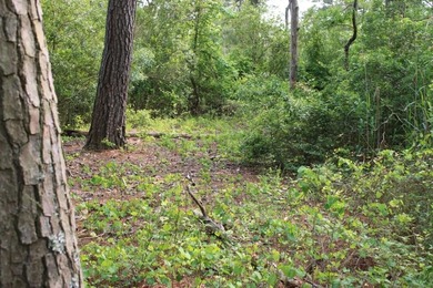 Beach Acreage For Sale in Chincoteague Island, Virginia