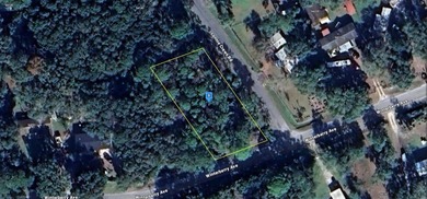 Beach Lot For Sale in Fernandina Beach, Florida