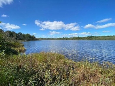 Beach Lot For Sale in Trout Lake, Michigan