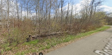 Beach Lot For Sale in Angola, New York