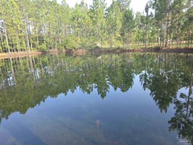 Beach Acreage For Sale in Pensacola, Florida