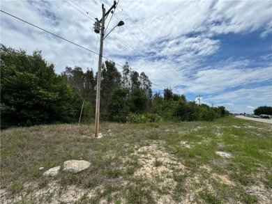 Beach Lot For Sale in Lehigh Acres, Florida