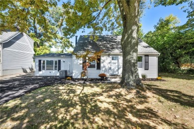 Beach Home For Sale in Mentor, Ohio