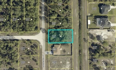 Beach Lot For Sale in Lehigh Acres, Florida