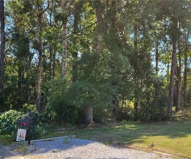 Beach Lot For Sale in Mandeville, Louisiana