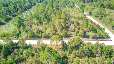 Beach Lot Sale Pending in Weeki Wachee, Florida