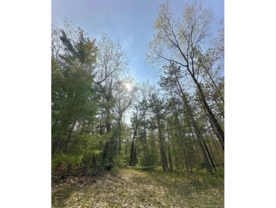 Beach Acreage Sale Pending in Manistee, Michigan