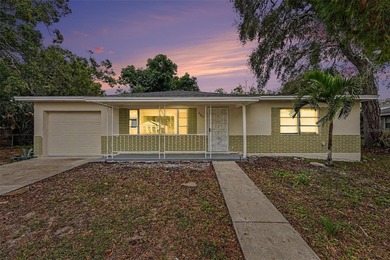 Beach Home For Sale in St. Petersburg, Florida