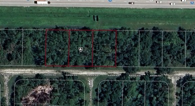 Beach Lot For Sale in North Port, Florida