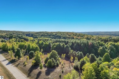 Beach Acreage For Sale in Cedar, Michigan