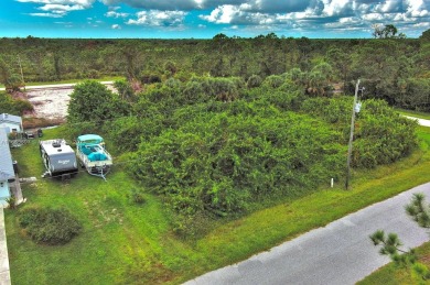 Beach Lot For Sale in Port Charlotte, Florida