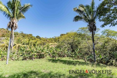 Beach Lot For Sale in Camaronal,