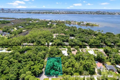 Beach Lot For Sale in Pensacola, Florida