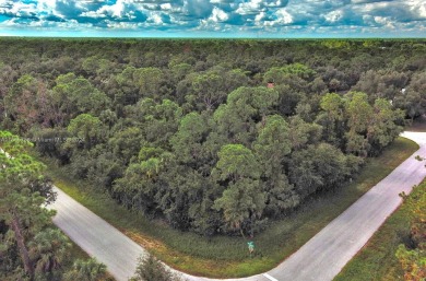 Beach Lot For Sale in Port Charlotte, Florida