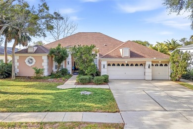 Beach Home For Sale in Palm Harbor, Florida