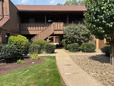 Beach Condo Sale Pending in Avon Lake, Ohio