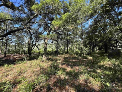 Beach Lot For Sale in Lillian, Alabama