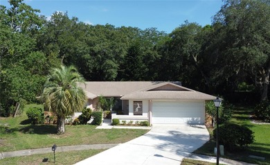 Beach Home For Sale in Palm Harbor, Florida