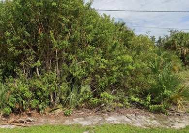 Beach Lot Sale Pending in Vero Beach, Florida