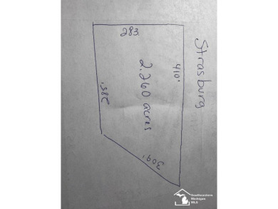 Beach Lot For Sale in Monroe, Michigan