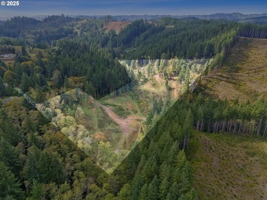 Beach Acreage For Sale in Toledo, Oregon