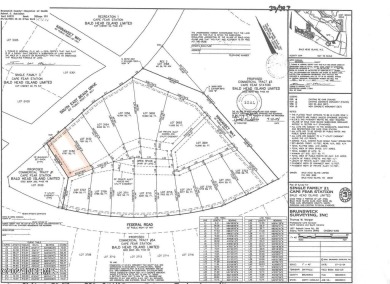 Beach Lot For Sale in Bald Head Island, North Carolina