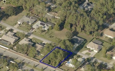 Beach Lot Off Market in Palm Coast, Florida