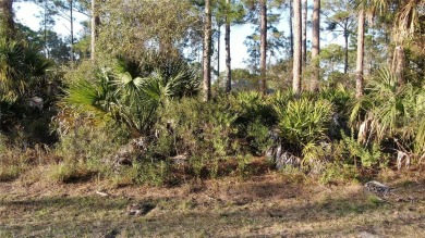 Beach Lot For Sale in North Port, Florida