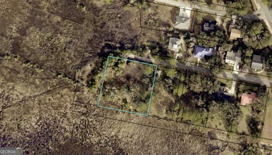 Beach Lot For Sale in Saint Marys, Georgia