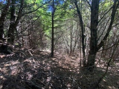 Beach Lot For Sale in Shelter Cove, California