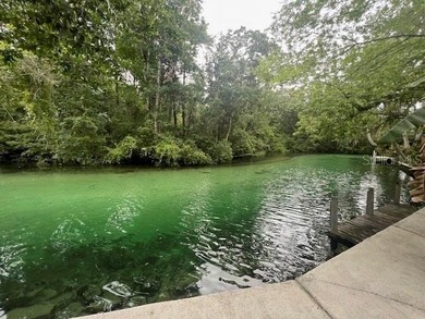 Beach Lot For Sale in Weeki Wachee, Florida