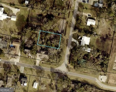 Beach Lot For Sale in Saint Marys, Georgia