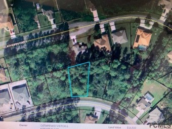 Beach Lot Off Market in Palm Coast, Florida