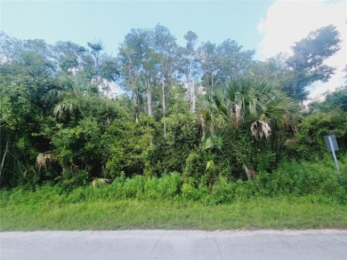 Beach Lot Sale Pending in Crystal River, Florida