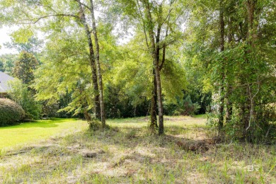 Beach Lot For Sale in Fairhope, Alabama