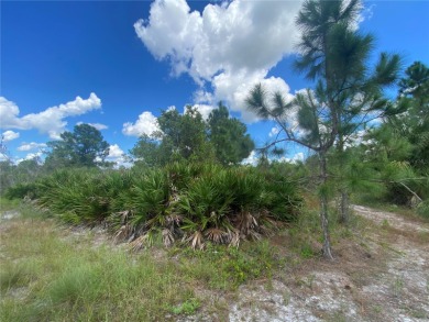 Beach Lot For Sale in Lehigh Acres, Florida