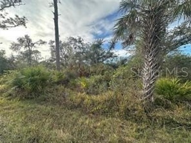Beach Lot For Sale in Port Charlotte, Florida