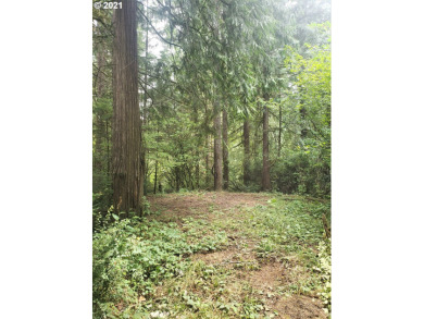 Beach Lot Off Market in Lincoln City, Oregon